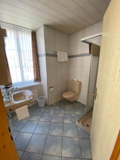 Hotel Alpina - Unterschächen - 8