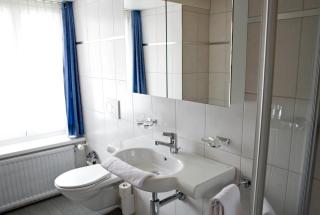 Hotel Alpina - Unterschächen - 5