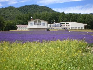 Highland Furano - Furano - 0