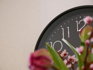 Ferienhaus Dorfleben - 4