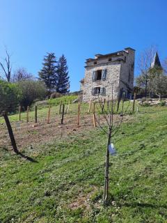 Le pigeonnier de felines - 8