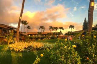 Mahina Surf - Kahana - 2