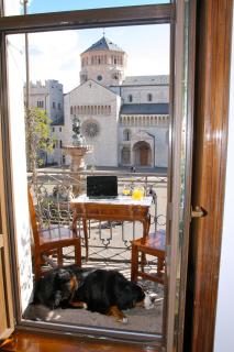 Hotel Venezia - 8