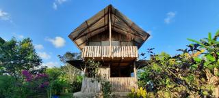 La Muñequita Lodge 1 - culture & nature experience - Palmar Norte - 8