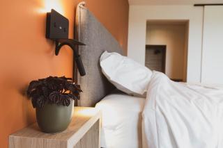 De Balloo, vakantiehuis met sauna en jacuzzi - Zuienkerke - 2