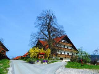 Country House Apat - Šoštanj - 4