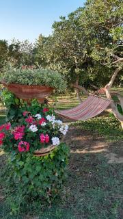 Roberta appartamenti "Le Muratelle" - San Vincenzo - 4