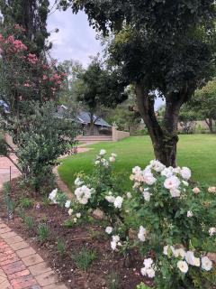 The Haystack on Cowley - Johannesburg - 6