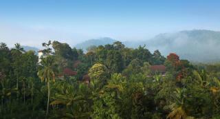 Elephant Court Thekkady - Thekkady - 4
