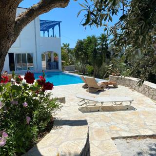 Villa Andrea - 3