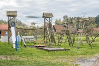 Zapfs Bauernhof Stiefmütterchen - Tettnang - 1