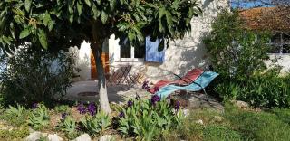 Petite maison refaite à neuf dans mas du 19ème siècle - Arles - 5