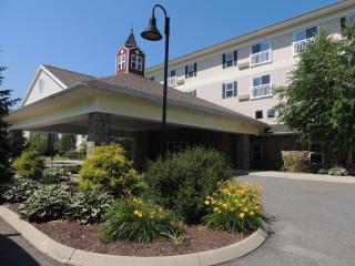 Berkshire Mountain Lodge - Pittsfield - 8