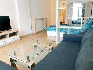 Huge Apartment with a parking space in the same building - Sofia - 1