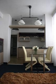 Apartmán Vintage A2 v Chomutově - 6