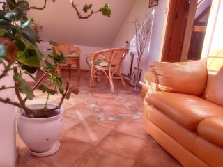 Apartmán NIKA - Levoča - 9