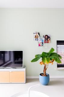 B&B StudioLKE - 1