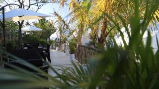 Glamping Tulum with private mini pool - Tulum Pueblo - 2