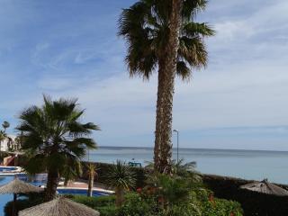 Apartamentos Punta Cormorán - 4