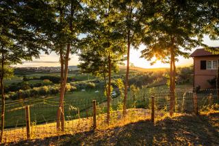 Agriturismo Il Sambuco - Siena - 7