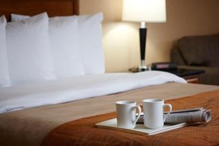 Comfort Inn - 9