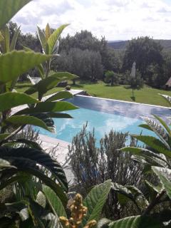 Casolare il Moro - Monte San Savino - 1