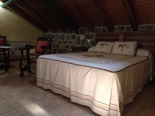 Casa Rural El Pinar - Acebedo - 8