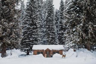 Lochsa Lodge - Lolo - 1