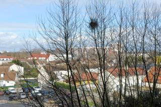 Appartement - Cosy T1 bis, proche de Paris - Villeneuve-la-Garenne - 8