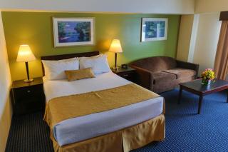 Grand Harbor Resort and Waterpark - 9