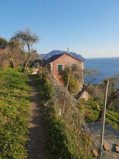 Pace tra gli ulivi e il mare - Sori - 0