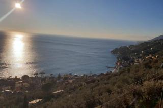 Pace tra gli ulivi e il mare - Sori - 5