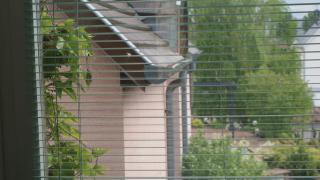 Chambre d'Hotes Le Vogelgarten - Sigolsheim - 9