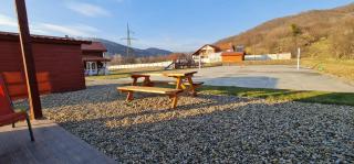 Swedish house - Baia Mare - 8
