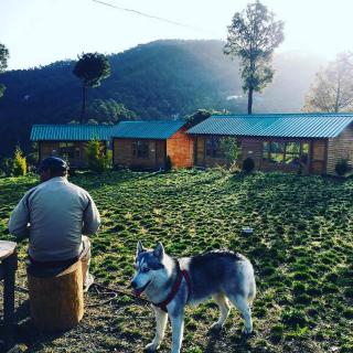 Golden valley cottages, Chail - Chail - 9