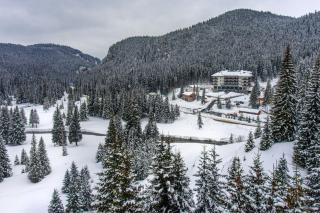 Hotel Belmont - Sinaia - 4