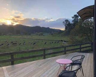 White Pine Bush Cabins - Otangihaku - 2