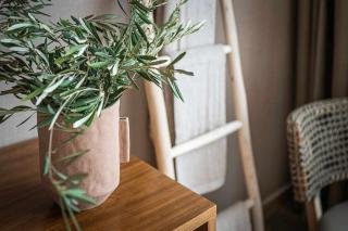 Jable suites apartamentos de lujo en el centro - 6