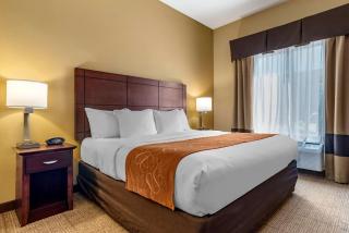 Comfort Suites Airport South - Montgomery - 4
