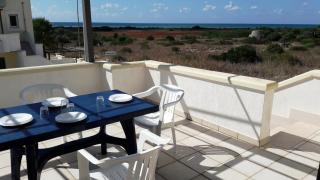 I tulipani di Torre Pali - 1