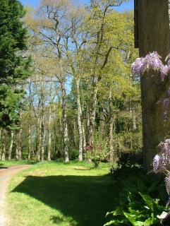 Gîtes de Launay Guibert - 6