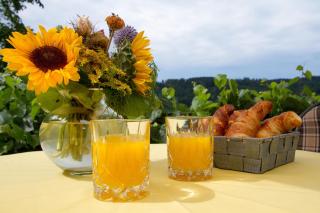 Ferienparadies Bodensee Fewo1 - Owingen - 9