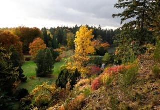 Hotel Floret - Prŭhonice - 8