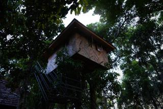 Hiliya Resort - Kenichira - 9