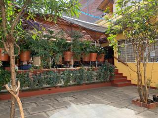 Habitaciones Betito - Mazamitla - 4