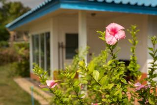 Sabai Beach Resort - Ko Mak - 1