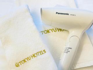 Hiroshima Tokyu REI Hotel - Hiroshima - 5