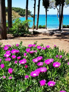 Holiday home Pavarotti - Supetar - 2