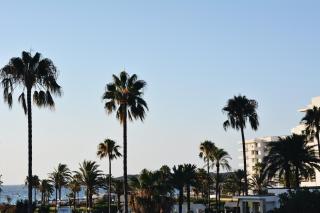 Villa Miel - Cala Millor - 7