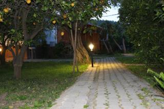 Yildiz Pension Bungalows - Çıralı - 9